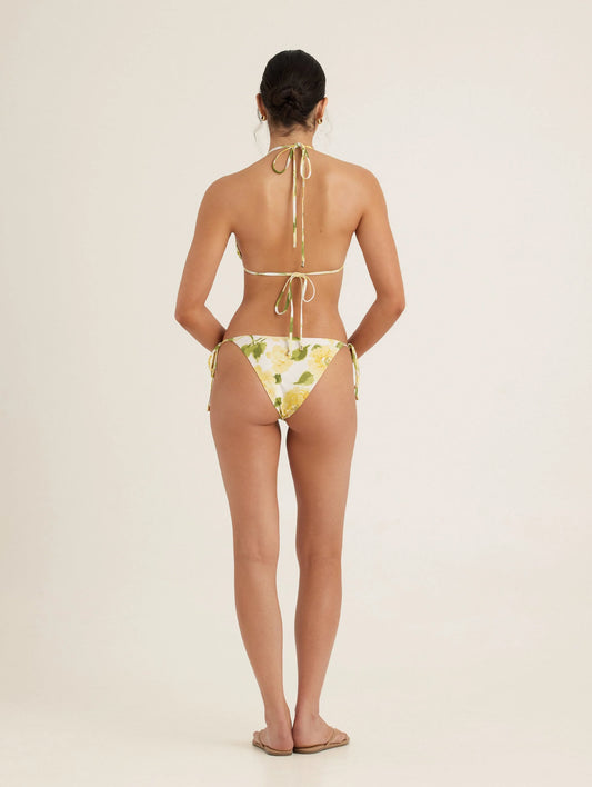 ESSENTIAL STRING TRI