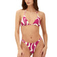 TOP BASAL TRIANGLE & BOTTOM  BOLD RASPBERRYWIRL