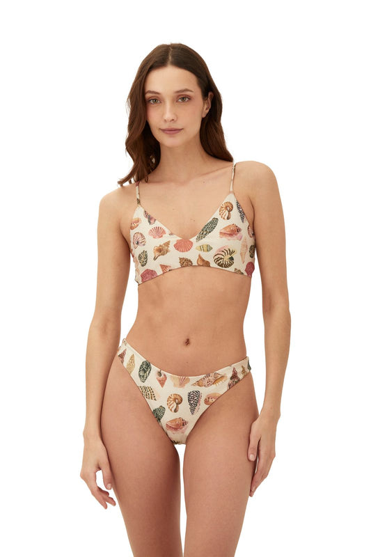 ELOWEN TOP & BOTTOM ELITE SEASHELL