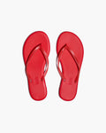 AQUA  - SOL  RED